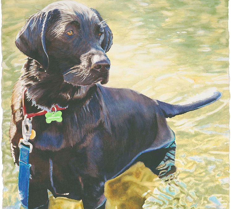 BJ First Tahoe Swim