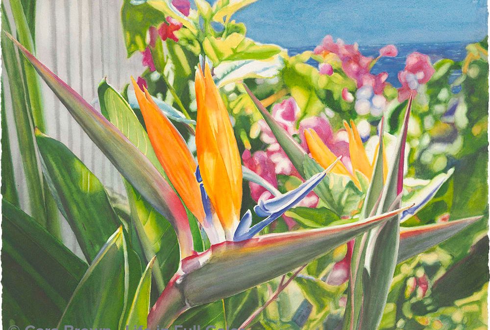 Birds in Paradise