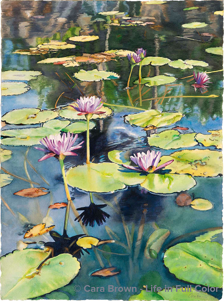 Southside Lily Pond