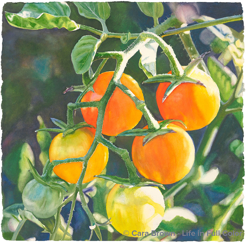 Sungold